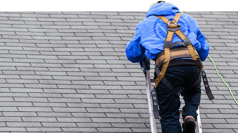 A Vertical Roofing employee climbing up a ladder, ready to inspect a residential roof