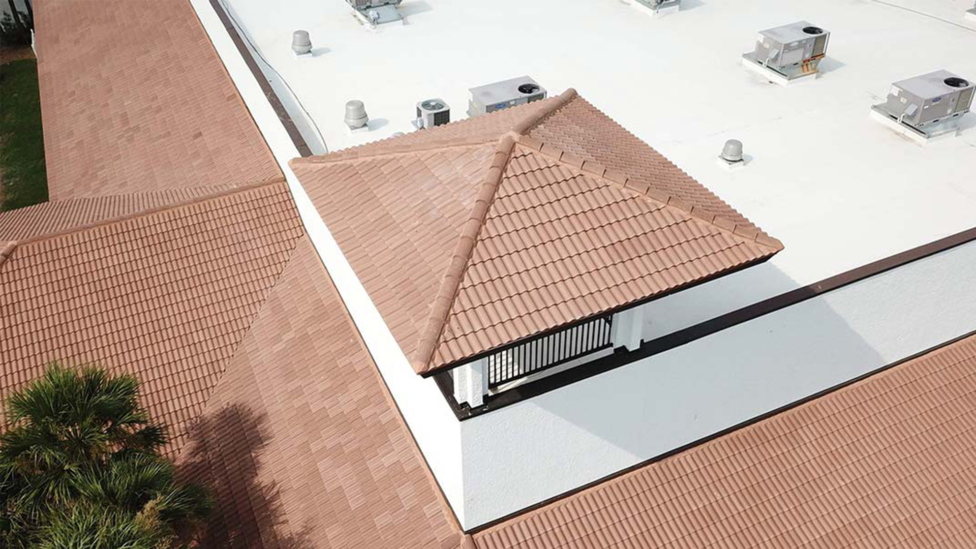 Commercial shingle roof edge detail