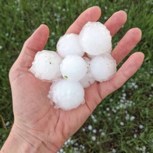 Hand holding several pieces of hail after a storm.